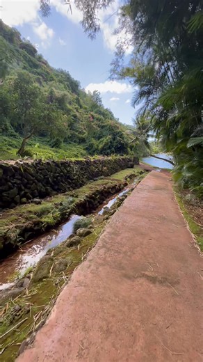 Margo Smith singing life on Reels