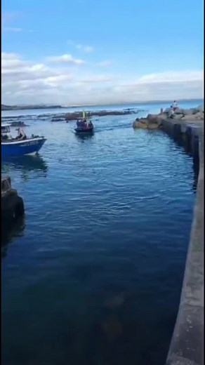 #nemo💥#hytgebarsinibaai#deepbluesea #stywelyne#forceitoflosit