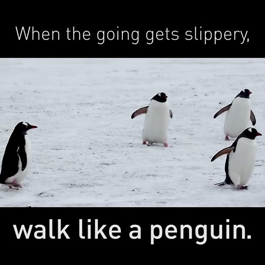 Walk like a penguin