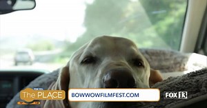 A film festival that’s all about dogs