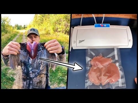 Every Dog Has His Day Grouse Hunting