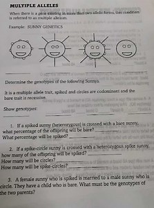 MULTIPLE ALLELESWhen there is a gene existing in more than two... | Filo