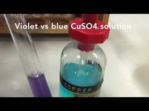 Food Tests: Biuret test