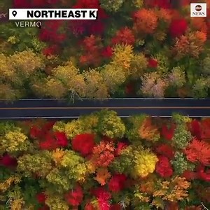 19K views · 654 reactions | FALL'S IN THE AIR: Drone footage shows off the stunning fall colors in northeast Vermont mountains. Here's when we could see colors like these in Georgia: https://2wsb.tv/36euMik | WSB-TV | Facebook