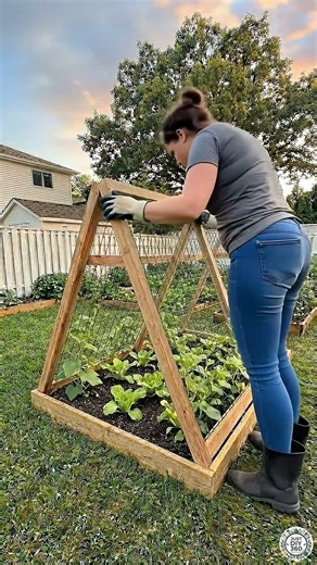 Planting Napa Cabbage & Cucumbers in the Backyard #cucumber #cabbage #diy #gardening #plantlove