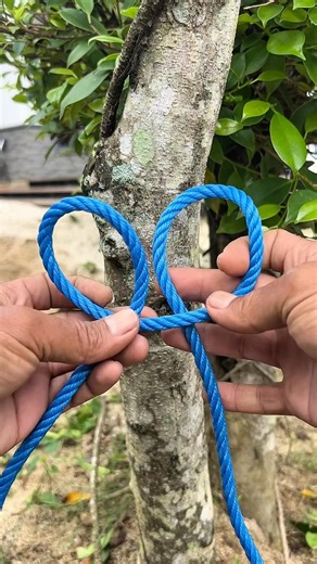 Useful Knot - Simple and Strong #shortvideo #knot