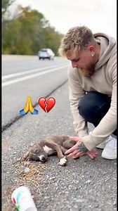 He Found a Lonely Puppy… What Happens Next Will Melt Your Heart