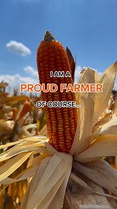 8.5K views · 145 reactions | HOW DO YOU COMPLETE THIS THREAD? I AM A PROUD FARMER OF COURSE… #farmers #farming #farmlife #buhayprobinsya #harvest #corn #simplelife #happy #Cagayan #CagayanValley #fbreels #fbreelsvideo #nature #naturephotography #travel #adventure #tourism #tour #trendingnow #reelsfacebook #inspiration #life #Philippines #viralreelsfb #videooftheday #summer #summervibes #KMJS #OFW #pinoy | The World Today Entertainment | Facebook