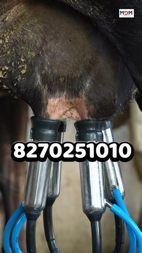 ബെസ്റ്റി മിൽക്കിംഗ് മെഷീൻ – എളുപ്പത്തിൽ പാൽ എടുക്കാം