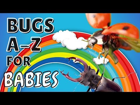 Bug Alphabet | Insects for Toddlers | Phonics for babies | Learn your ABCs | Bugs A-Z
