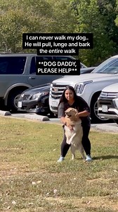 When dogs get out of control The Dog Daddy | The Dog Daddy