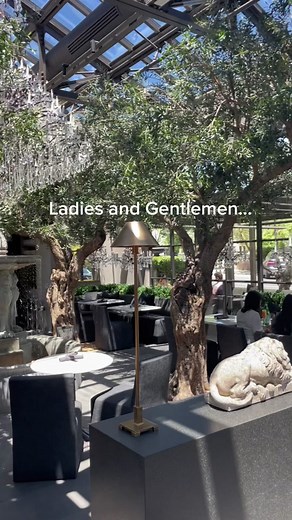 Explore the Charming Yountville in Napa Valley