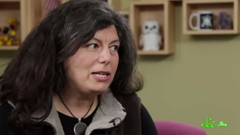 Invasive plants & restoration ecology | SciShow Talk Show