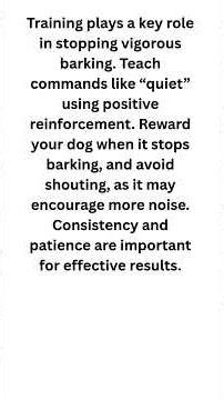 Dog Barking Control Stop Excessive Barking with Easy Dog Training Tips #shorts