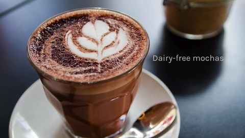 Wildly Organic Oat Milk Powder, 16 Oz, 1 lb Bag - Organic, Dairy-Free, Lactose-Free, Vegan, Gluten-Free, Plant-Bassed, Resealable Package - Excellent for Smoothies, Cereal, & Creamers