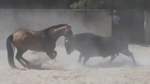 283K views · 1.5K reactions | Akistata: Ferrari prieš Lamborghini :D | Dienos Akcentas | Facebook