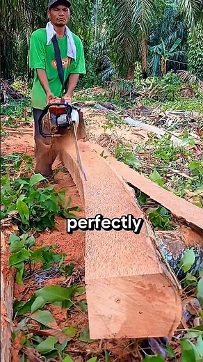 splitting curved wood #chainsaw #wood #woodworking #sawblade