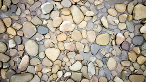 Cleaning Water Feature Rocks: The Complete Guide