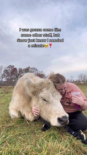 Girl Finds Comfort in Hugging Cow Named Snow