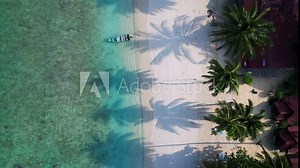 palm trees shade on Tropical beach lush greenery. Smooth aerial top view drone