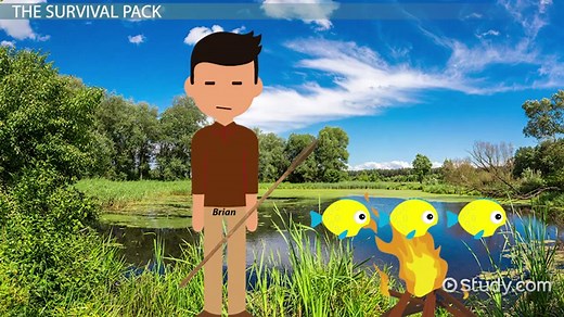 Hatchet by Gary Paulsen: Ch. 17 | Summary & Analysis