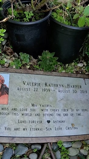 Grave Of Valerie Harper & Mickey Rooney. #valerieharper #mickeyrooney #cemetery #cemeteryphotography #grave #graveyards #shots #necropolis #cemeteries #gothic #taphophile #project #gravestone #cemeterywandering #cemeterylovers #death #dead #photography #graveyardphotography #affair #fanatics #tombstone #nation #life #graves #dark #art #taphophilia #bhfyp #urbex | Crypt Door