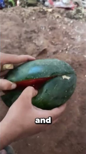 Why Did This Watermelon Explode?
