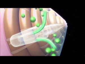 NASA’s inflatable heat shield: aeroshell inspired by a toy could one day help humans land on Mars