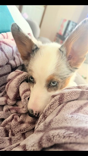 Boost Your Confidence with Angle Check Tips