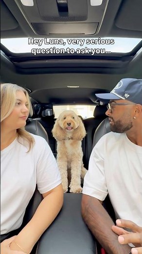 Mini Cockapoo Picks Who She Loves More Between Her Parents 😳