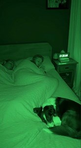 “When the whisper isn’t human… but your dog reacts.”