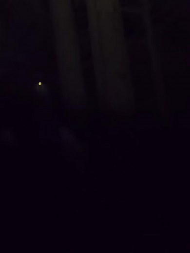 Cryptid in the trees. - 7463492460874894623 . #foryou #aliens #scary #dogman #bigfoot #cryptid | Fowl mitten outdoors 20 | Facebook