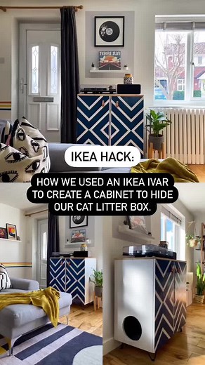 carlaelliman on TikTok