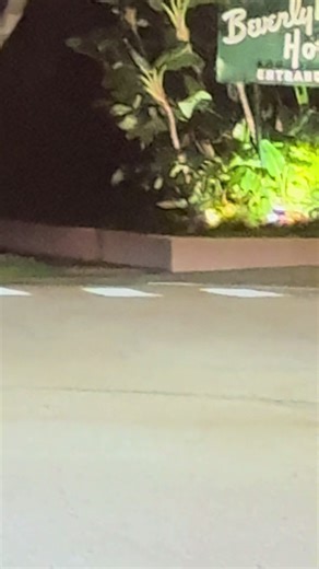 The Swann Box (@theswannbox)’s videos with original sound - The Swann Box