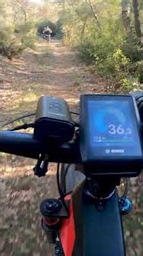 El Pimàs, el Belga jo i la Olga anant a full pel corriol