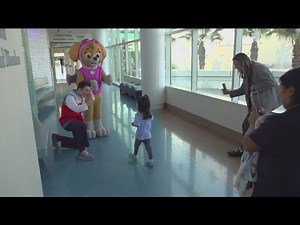 Paw Patrol characters visit patients at Rady Children's Hospital