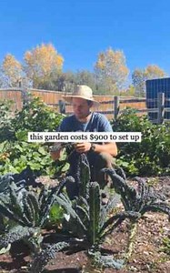 The truth big pharma doesn’t want you to know