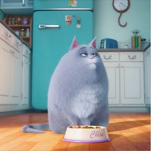 15K views · 265 reactions | Meet Chloe.#TheSecretLifeOfPets | The Secret Life Of Pets | Facebook
