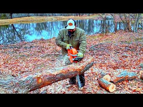 Chinese Chainsaws | The Good The Bad The Ugly Proyama PCS 62