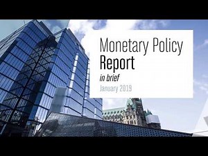 Monetary Policy Report – January 2019