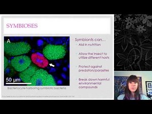 Insect Physiology (Abridged)