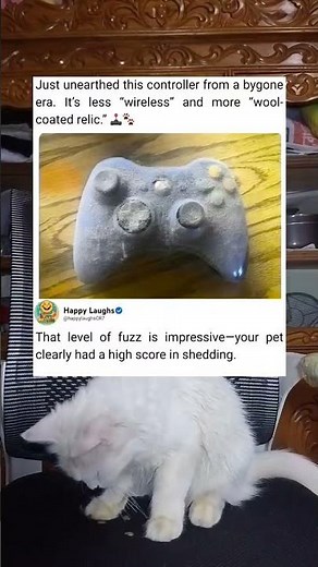 Forgotten Fuzzy Controller