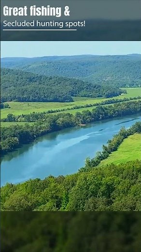 $1,500 Down! - 10 Acres of Owner Financed Land for Sale in Arkansas - WZ04 #landforsale #shorts