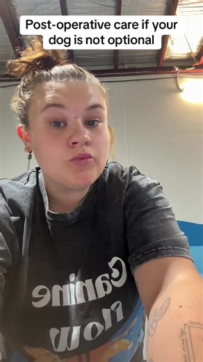 Essential Post-Operative Care for Dogs: A Guide