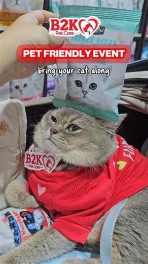 B2K Pet | SG Online Pet Supplies on Instagram: "$1 DEALS?! 😱🐱 Cat pawrents, don’t sleep on this. The B2K Pet March Mega Sale is HERE — with up to 90% OFF and over 10,000+ products at wholesale prices! From drool-worthy treats to snuggly toys and premium litter, we’re bringing you the BIGGEST cat-only steals this March! 🔥 Here’s what to expect: 📦 Grab Box Challenge @ $29.90 🍗 Free-flow buffet for your furkid 🎁 Free samples to bring home ✨ Crazy spend-and-redeem rewards, including exclusive