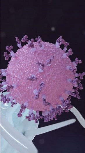Dendritic Cell Engulfs a Pathogen #science #3dscience #biology #immunity