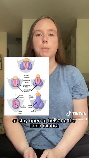 Rebecca | Repro Science Nerd (@rebeccab.repronerd)’s videos with original sound - Rebecca | Repro Science Nerd