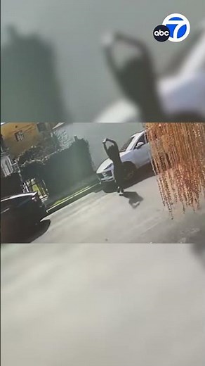 Woman caught smashing windshields of parked cars with brick in LA