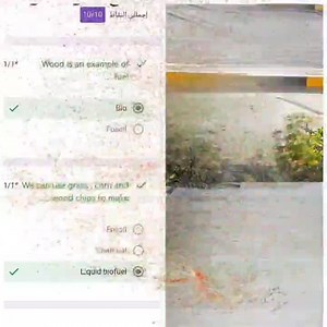 Science Competition 🔭🧪 Online Quiz💻 Class 4D | Future Pioneers Language school