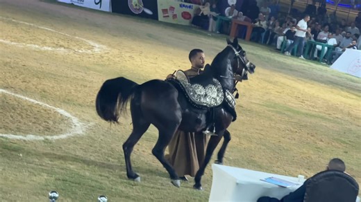 Mohamed Reda on Reels